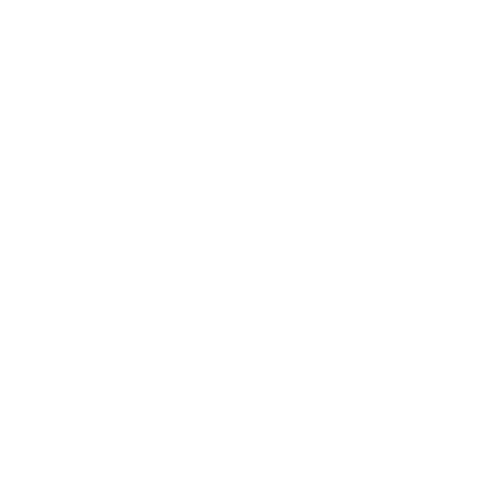 Toast POS logo